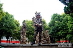 武汉长征七号