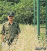 武汉长征七号